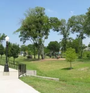 lawn with trees and pavement