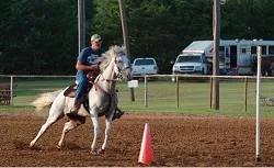 Horse and rider in arena