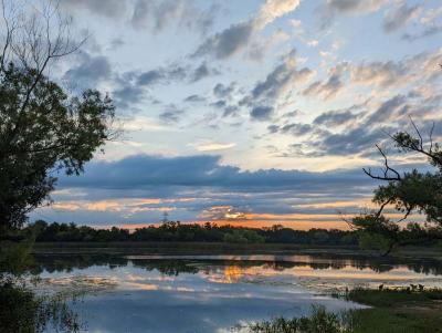 lake beach at sunrise with trees in the foreground