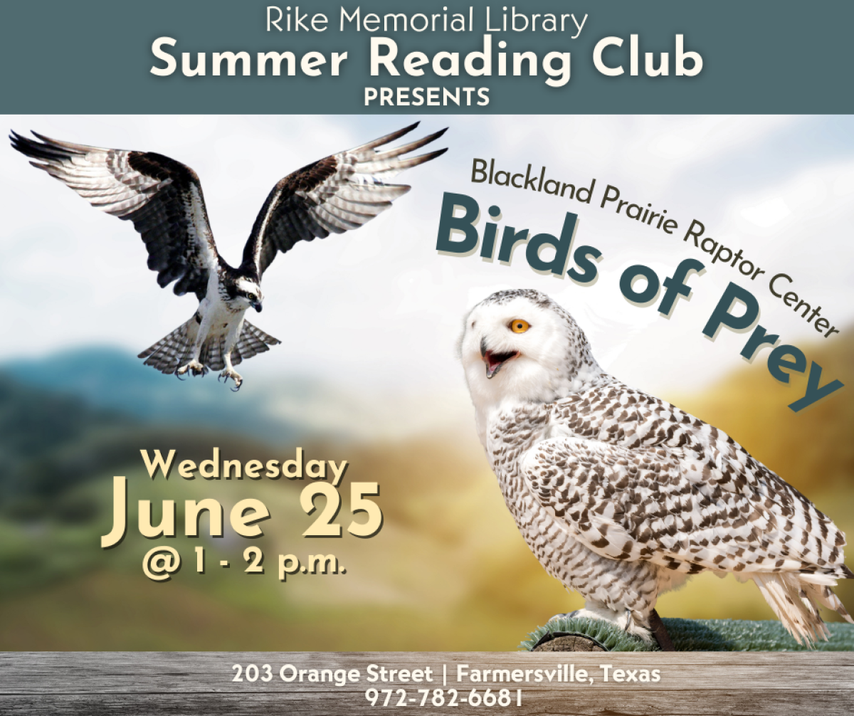 Summer Reading Raptor Center program June 25 at 1 pm image
